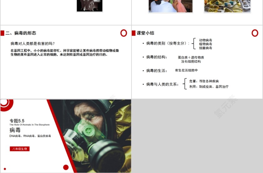 《病毒》人教版八年级生物上册PPT课件第3张