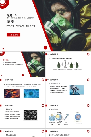 《病毒》人教版八年级生物上册PPT课件