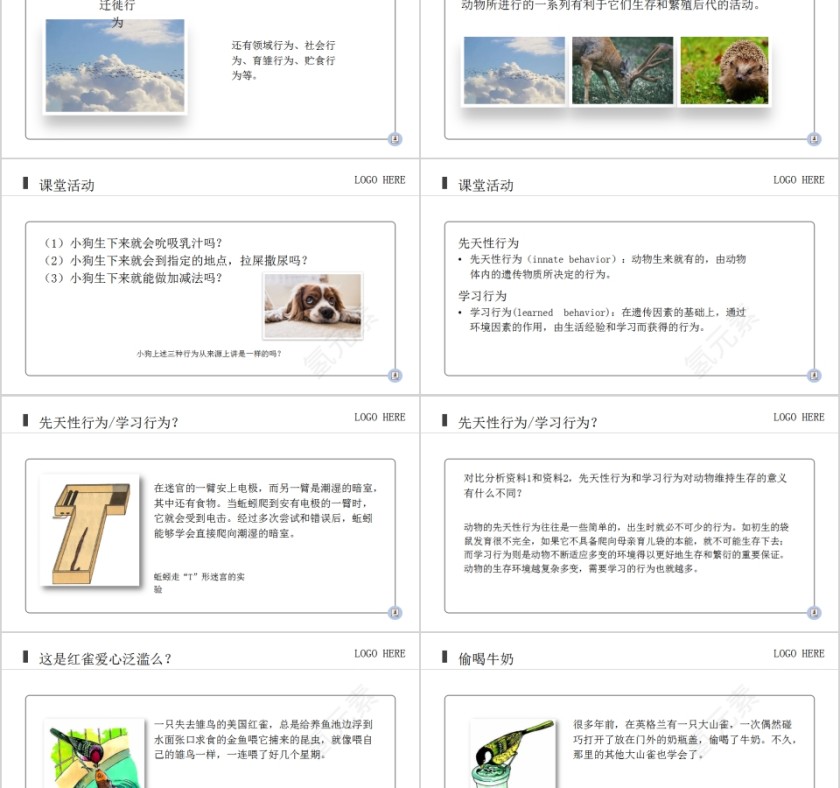 《先天性行为和学习行为》人教版初中生物上册PPT课件第2张