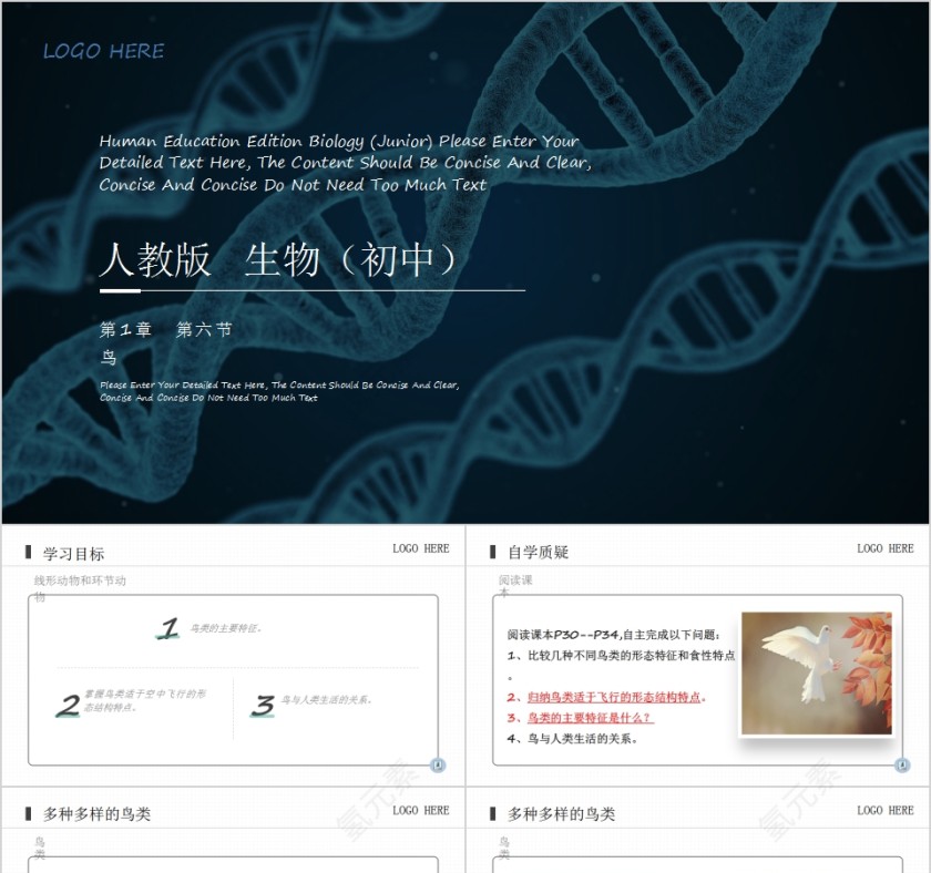 《鸟》人教版八年级生物上册PPT课件第1张