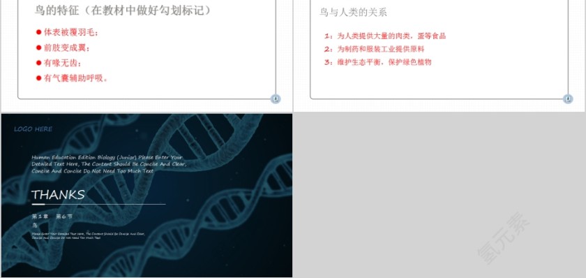 《鸟》人教版八年级生物上册PPT课件第5张