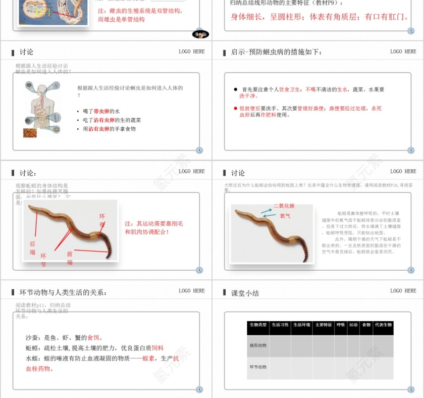 《线形动物和环节动物》人教版八年级生物上册PPT课件第3张