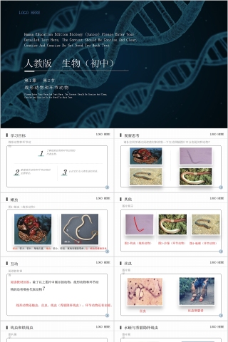 《线形动物和环节动物》人教版八年级生物上册PPT课件