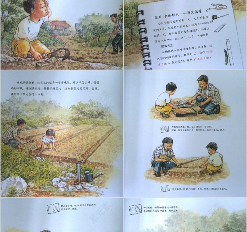 最棒的蔬菜数学绘本教育课件PPT模板第4张