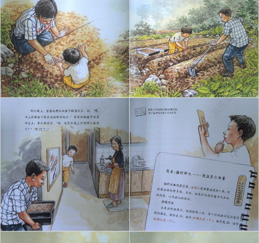 最棒的蔬菜数学绘本教育课件PPT模板第5张