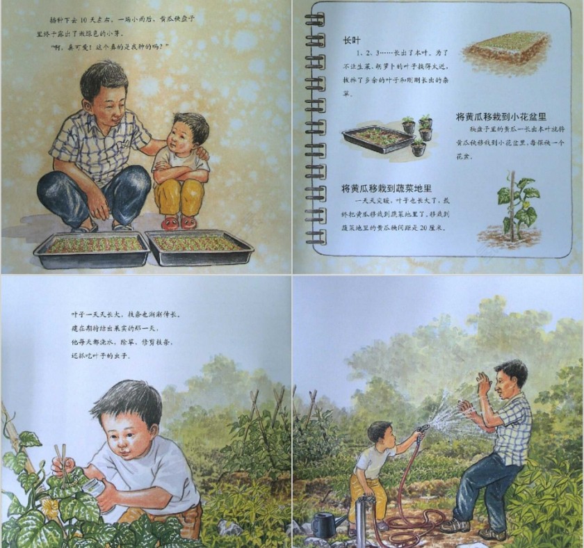 最棒的蔬菜数学绘本教育课件PPT模板第6张