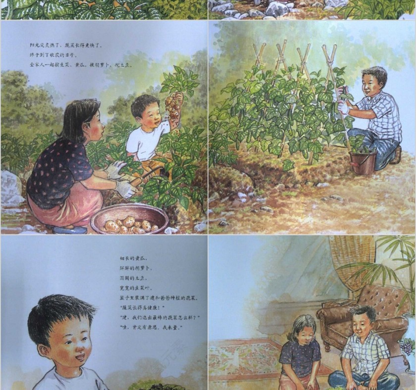 最棒的蔬菜数学绘本教育课件PPT模板第7张