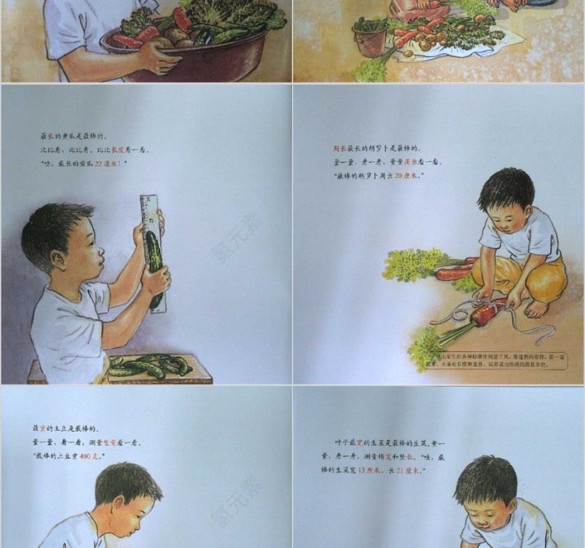 最棒的蔬菜数学绘本教育课件PPT模板第8张