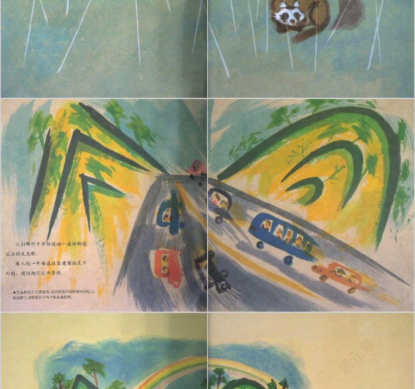 插岘岭数学绘本教育课件PPT模板第9张