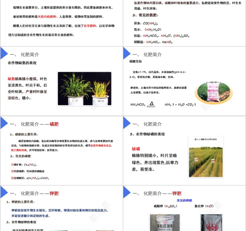 《化学肥料》人教版九年级化学PPT课件第2张