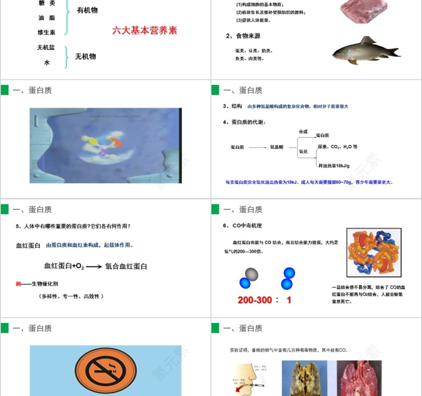 《人类重要的营养物质》人教版九年级化学PPT课件第2张