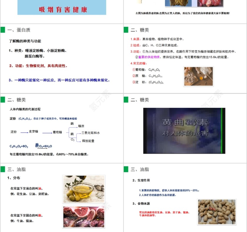 《人类重要的营养物质》人教版九年级化学PPT课件第3张