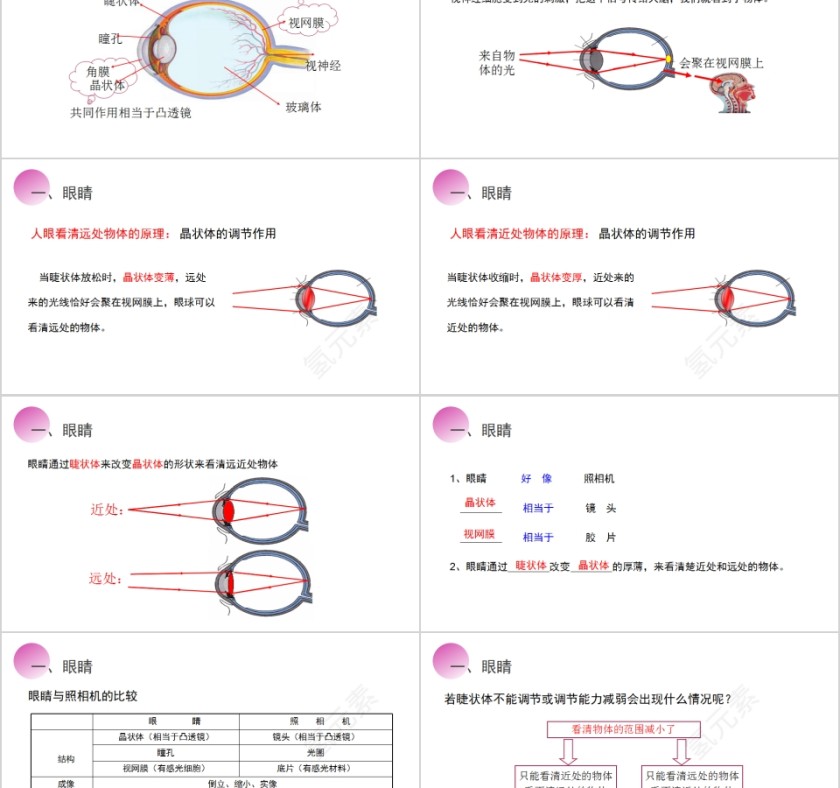 《眼睛和眼镜》人教版八年级物理PPT课件第2张