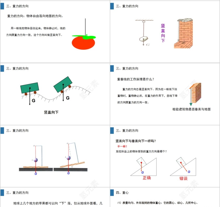《重力》人教版八年级物理PPT课件第4张
