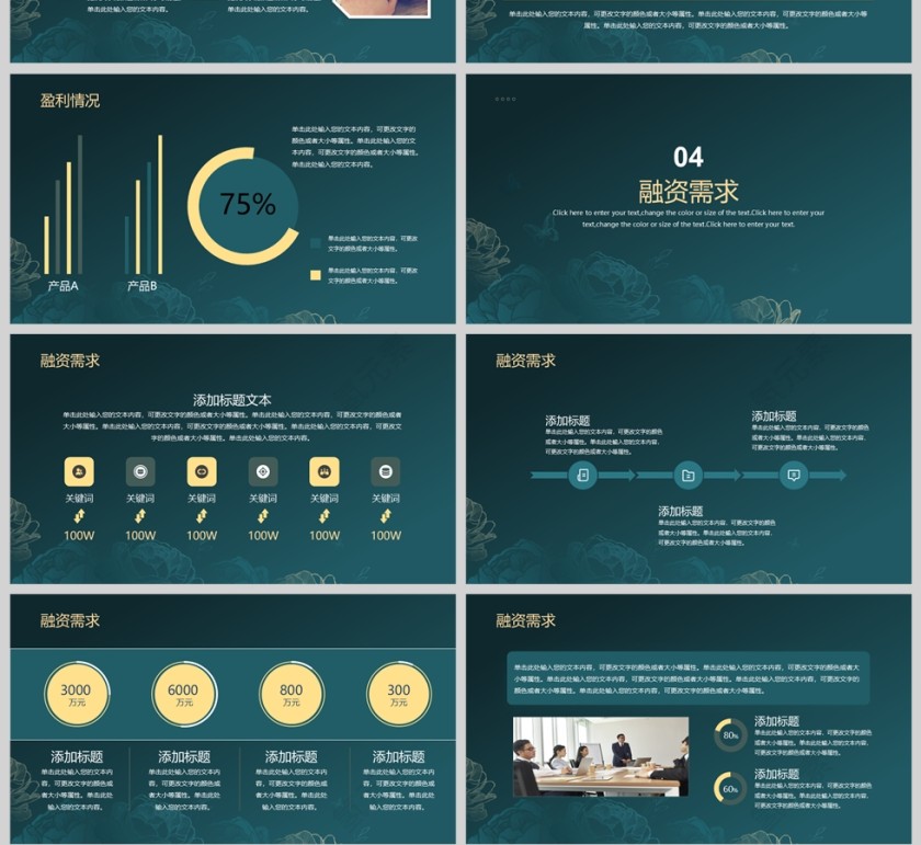 大气项目融资计划书PPT模版第4张