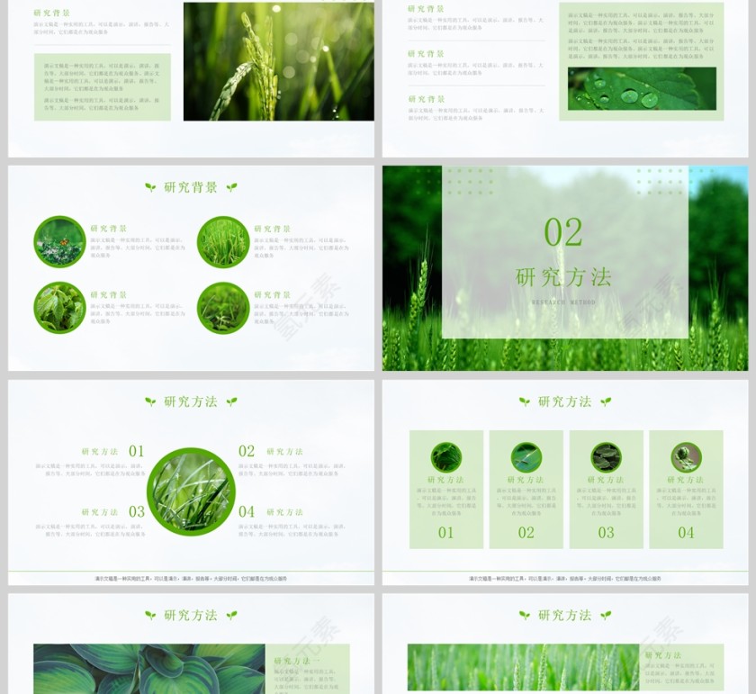 现代学校学生绿色农业毕业论文演示文稿ppt第2张