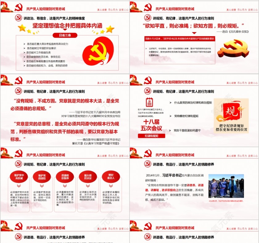 对党忠诚做合格党员PPT第4张