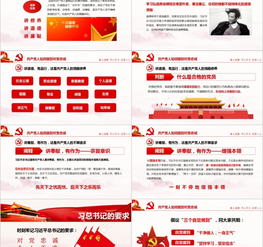 对党忠诚做合格党员PPT第5张