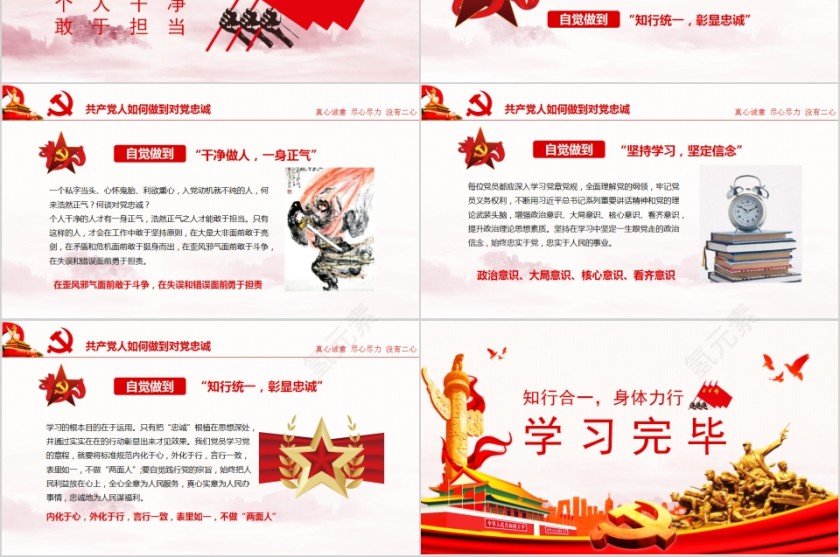 对党忠诚做合格党员PPT第6张