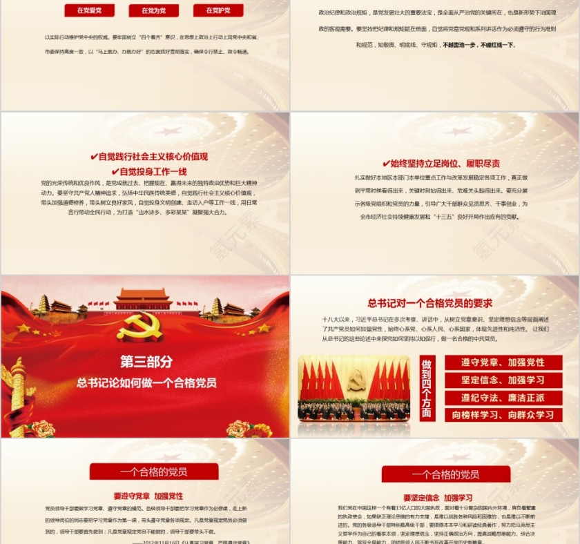 践行四讲四有做合格党员党支部党员学习培训PPT第5张