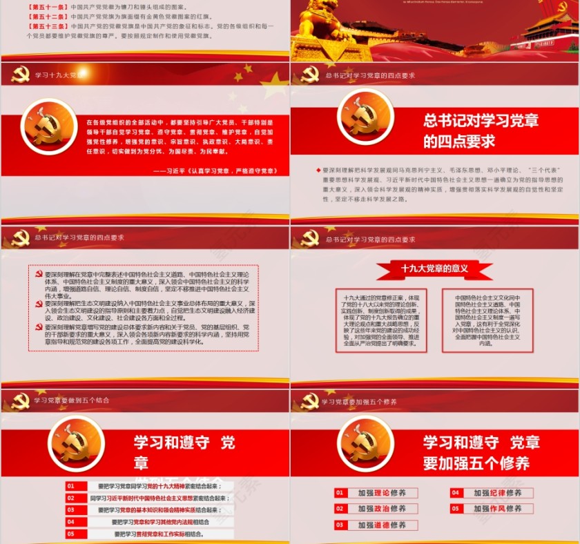 中国共产党章程全方位解读PPT第12张