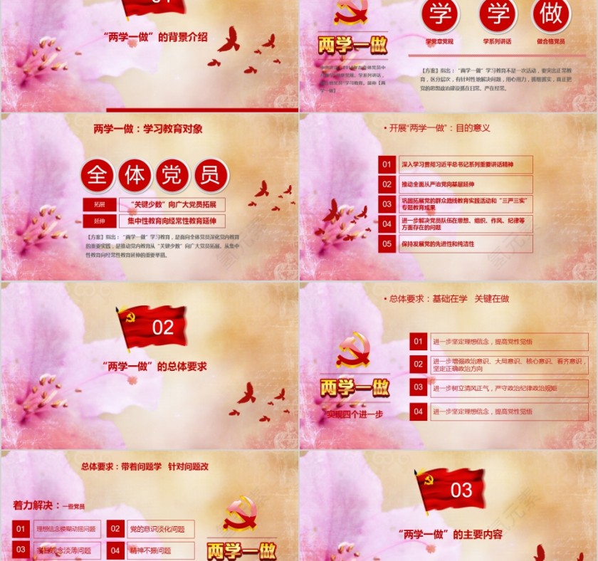 中国共产党两学一做学党章党规做合格党员PPT第2张