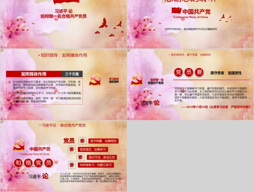 中国共产党两学一做学党章党规做合格党员PPT第5张