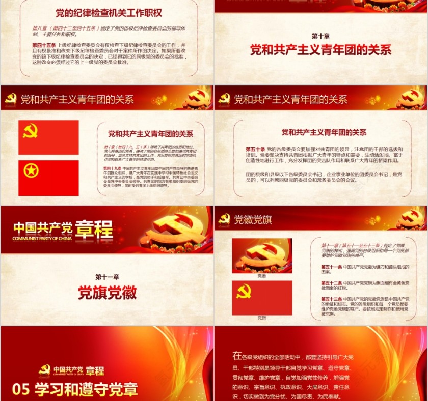 中国共产党章程新党章党课学习PPT第11张