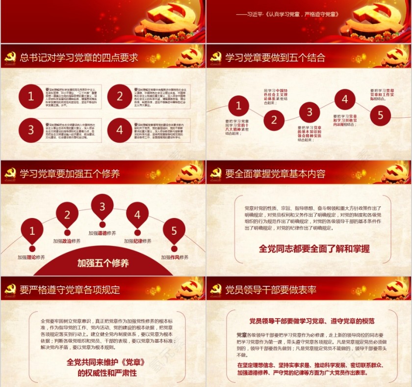 中国共产党章程新党章党课学习PPT第12张