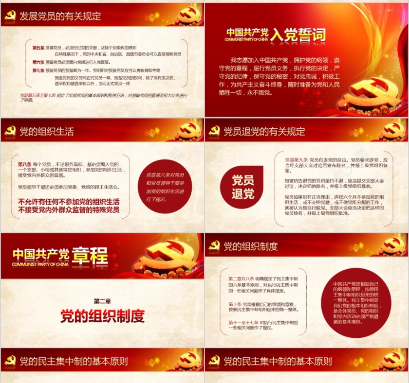 中国共产党章程新党章党课学习PPT第7张