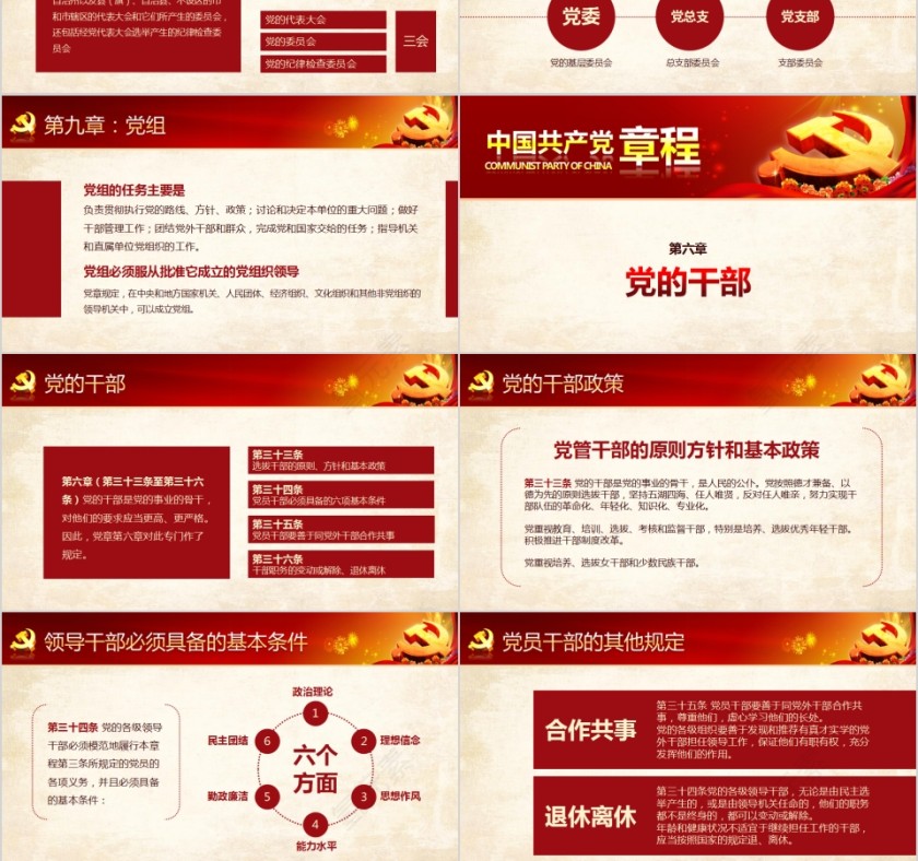 中国共产党章程新党章党课学习PPT第9张