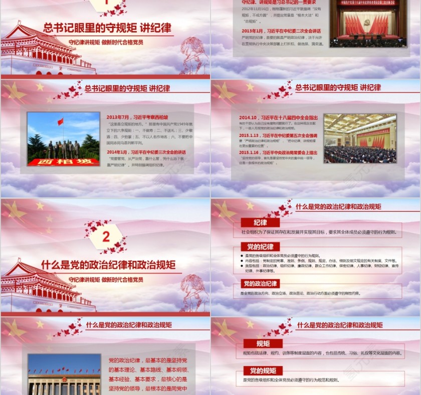 守纪律讲规矩做新时代合格党员PPT第2张