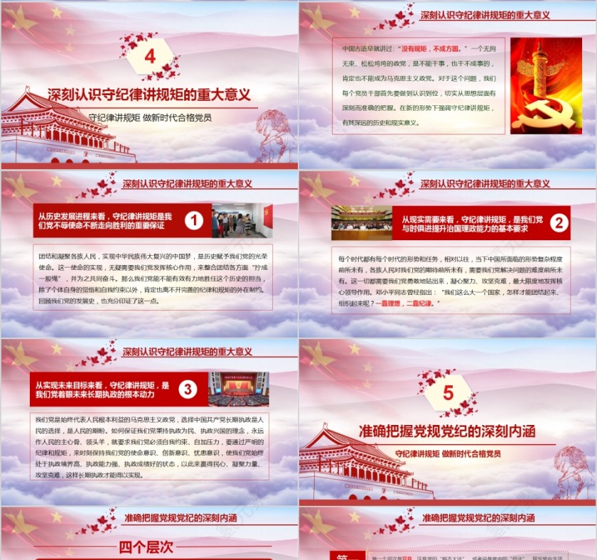 守纪律讲规矩做新时代合格党员PPT第4张