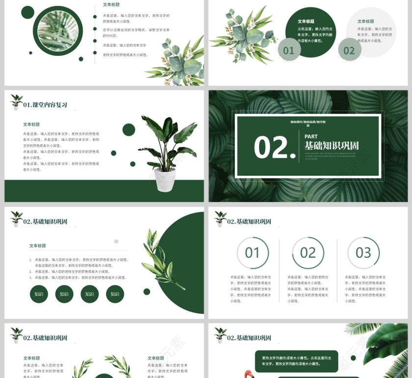 绿色植物风格教师说课PPT模板第2张