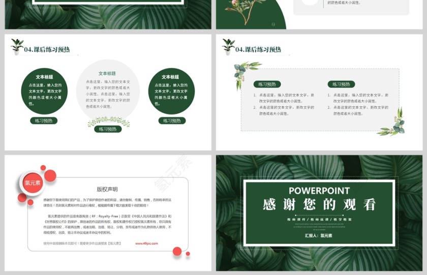 绿色植物风格教师说课PPT模板第4张