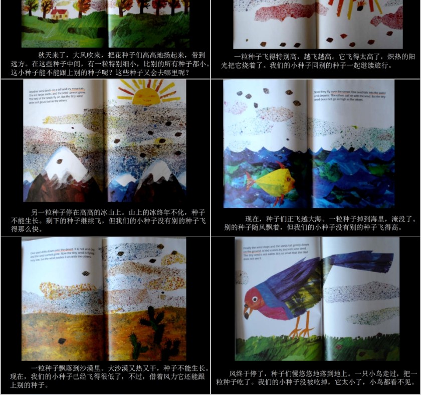 小棕熊的梦幼儿园绘本故事教育课件第2张