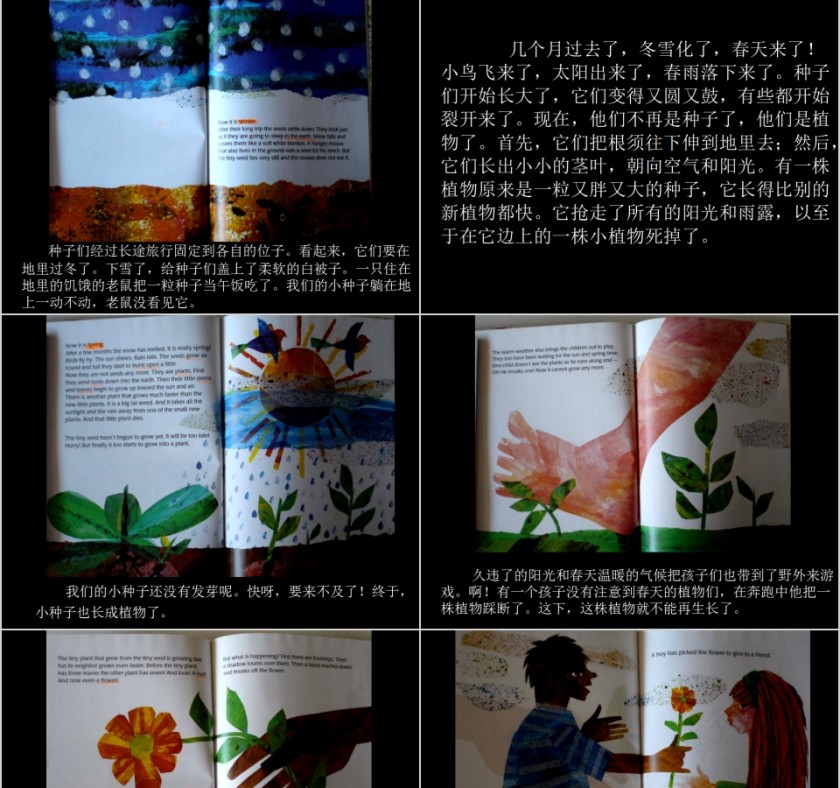 小棕熊的梦幼儿园绘本故事教育课件第3张