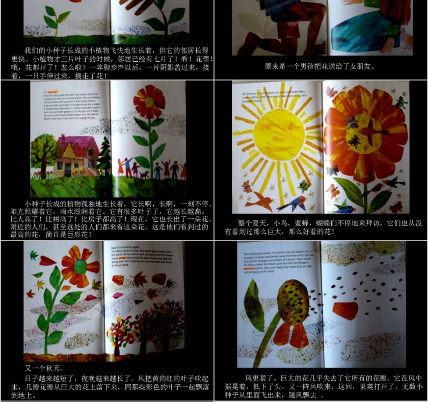 小棕熊的梦幼儿园绘本故事教育课件第4张