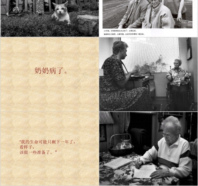 再见了艾玛奶奶幼儿园绘本故事教育课件第2张