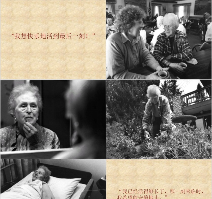 再见了艾玛奶奶幼儿园绘本故事教育课件第3张