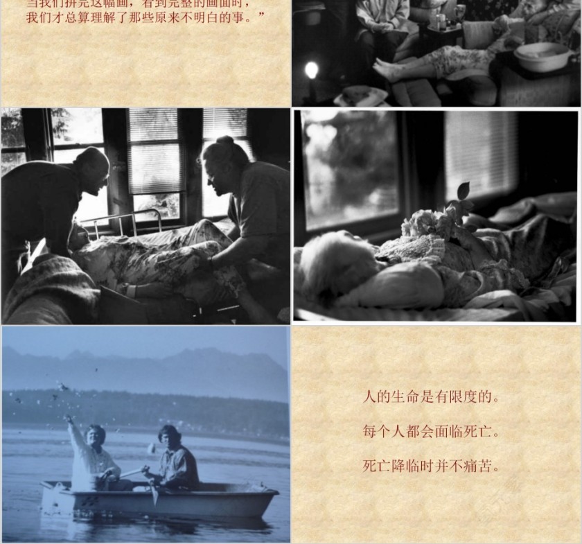 再见了艾玛奶奶幼儿园绘本故事教育课件第6张