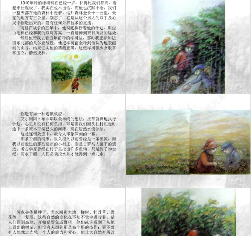 让焦诺种树的男人幼儿园绘本故事教育课件第5张