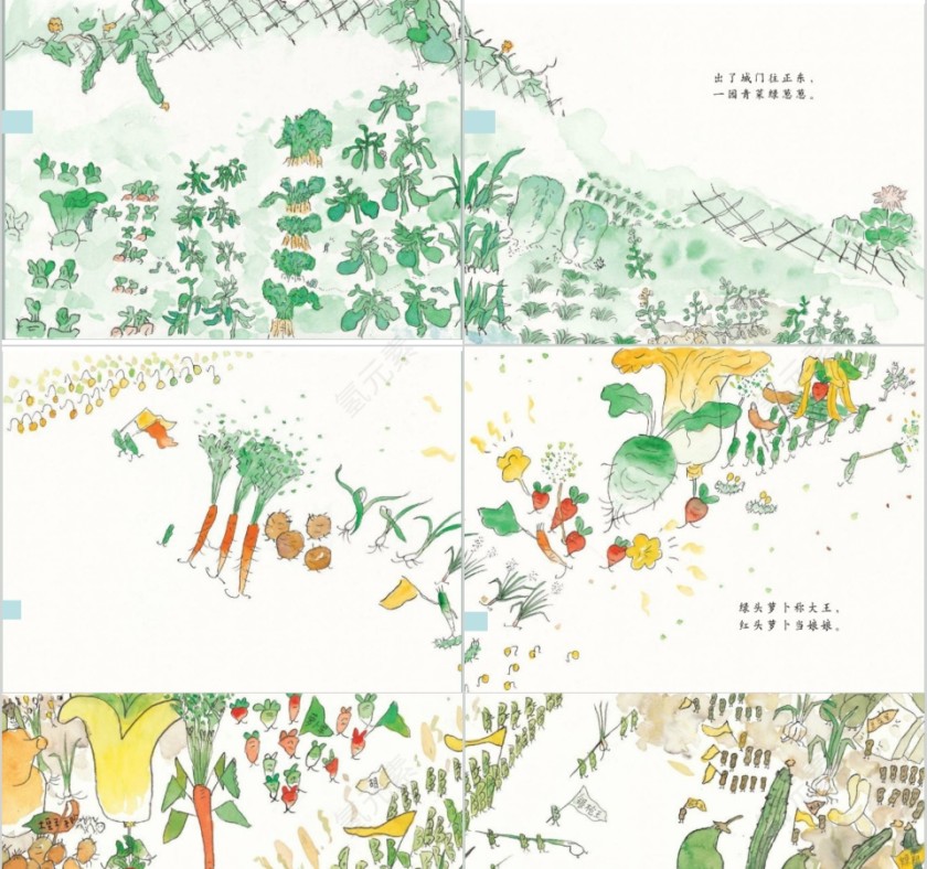 一园青菜成了精幼儿园绘本故事教育课件第5张