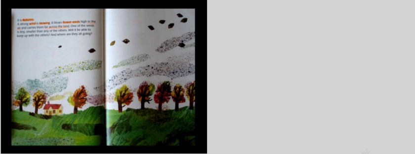 小种子幼儿园绘本故事教育课件第5张