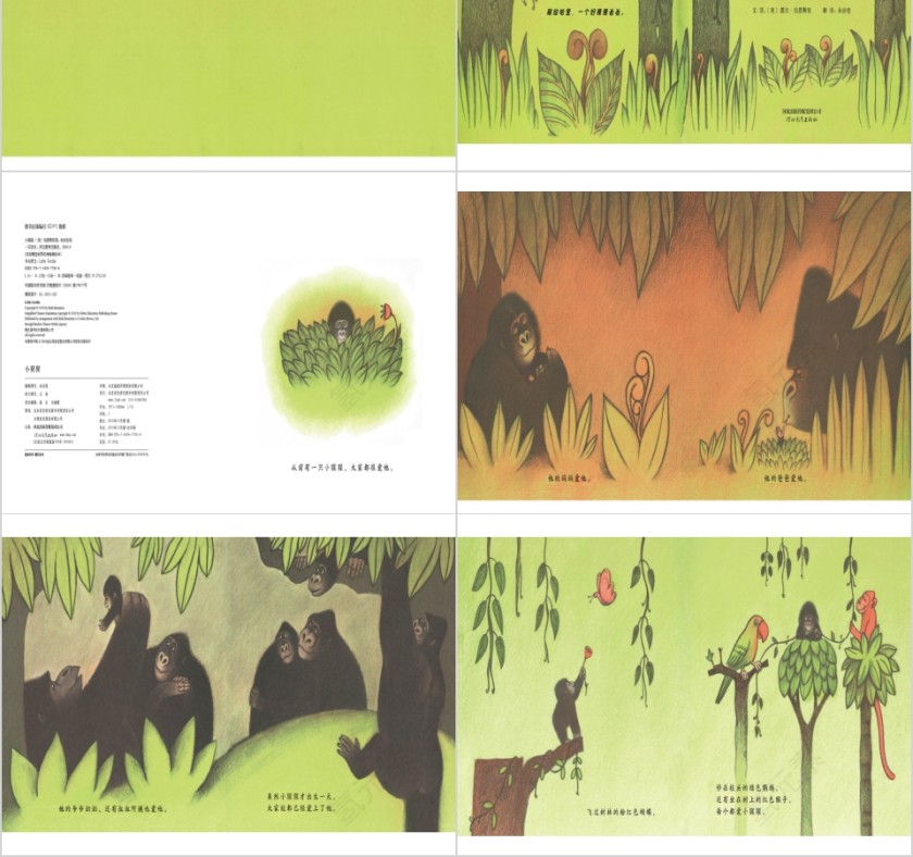 小猩猩幼儿园绘本故事教育课件第2张