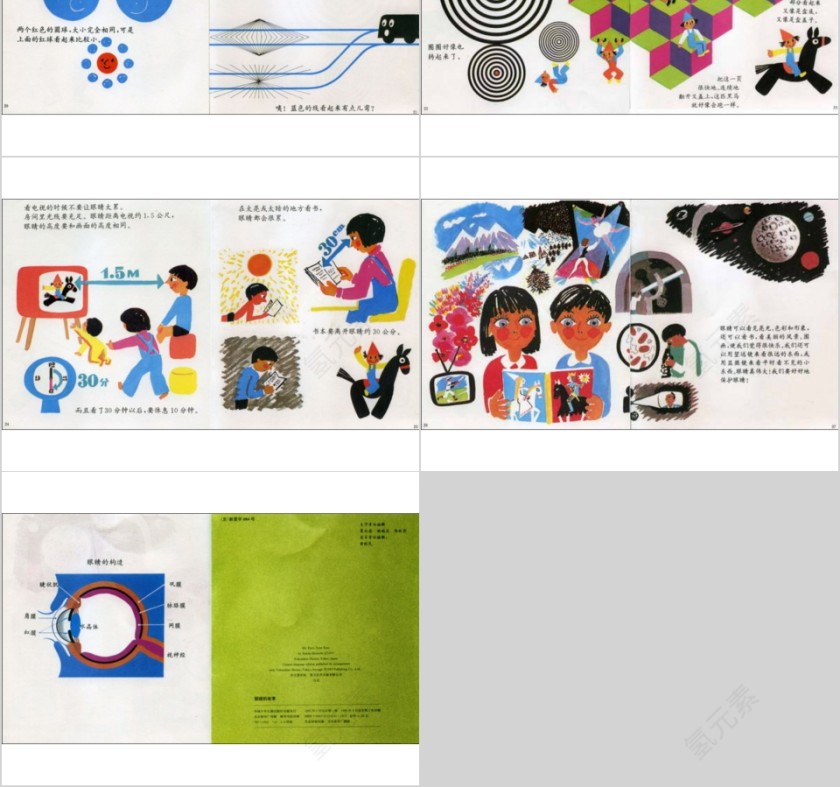 眼睛的故事幼儿园绘本故事教育课件第4张