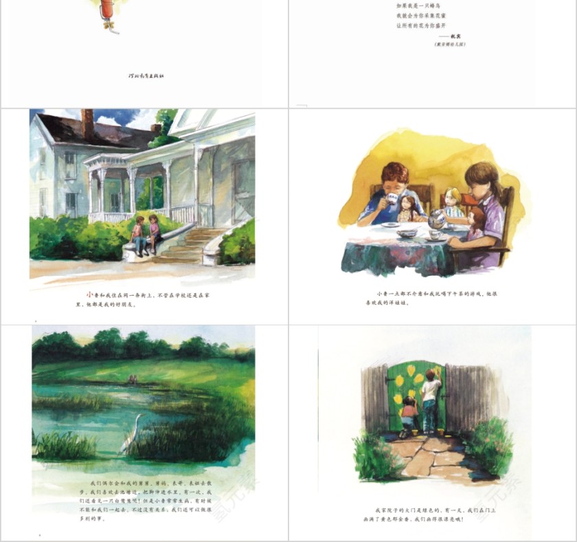 小鲁的池塘幼儿园绘本教育课件第2张