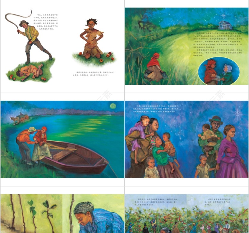 自由的苹果幼儿园绘本故事PPT第3张