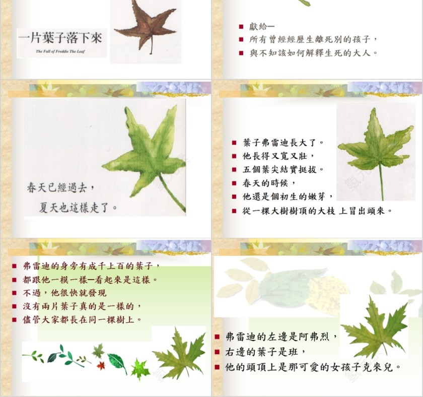 一只碟子落下来幼儿园绘本故事教育课件第2张