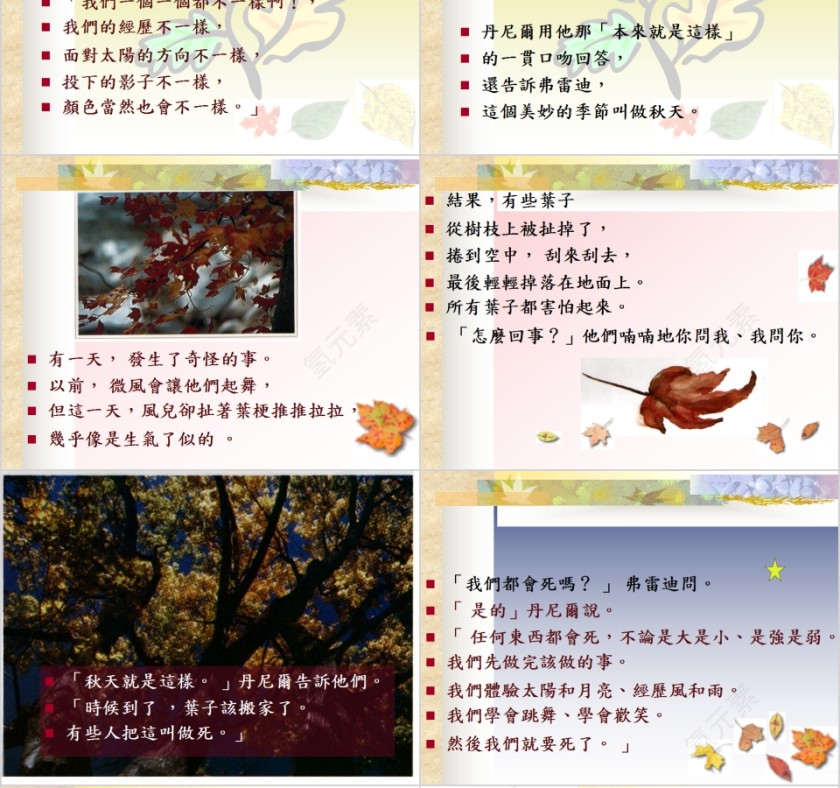 一只碟子落下来幼儿园绘本故事教育课件第6张